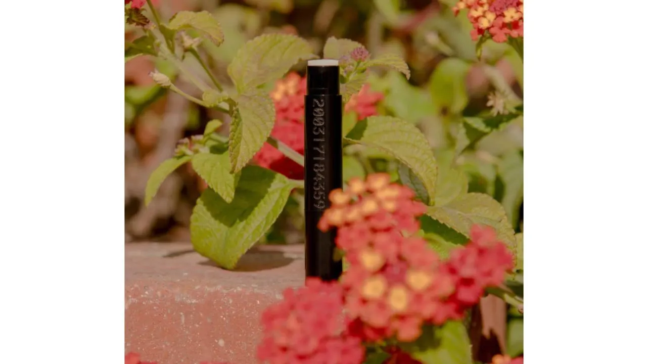 Into Wet Lip Moisturizer