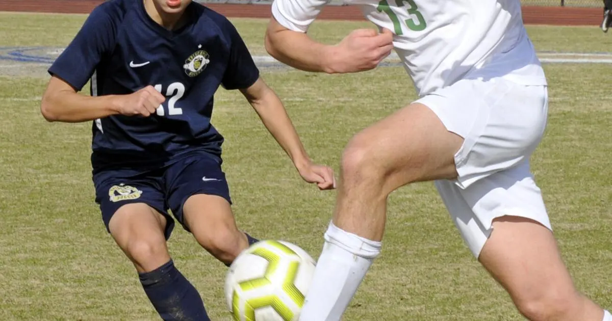 Newman boys, Sacred Heart enjoy unexpected Division IV state soccer berths |  Sports Prep