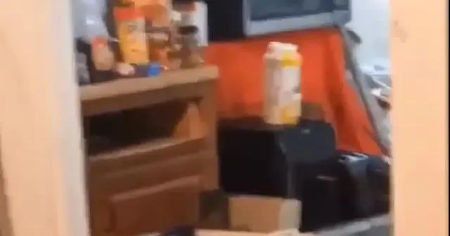 Watch now: A rat on the air fryer in the kitchen - Buffalo News