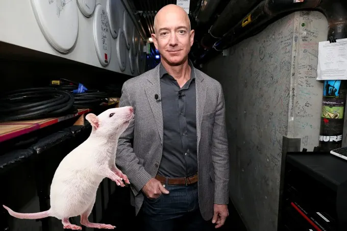 Want some cheese?  Altos, backed by Jeff Bezos, is paying millions to develop life extension technology. 